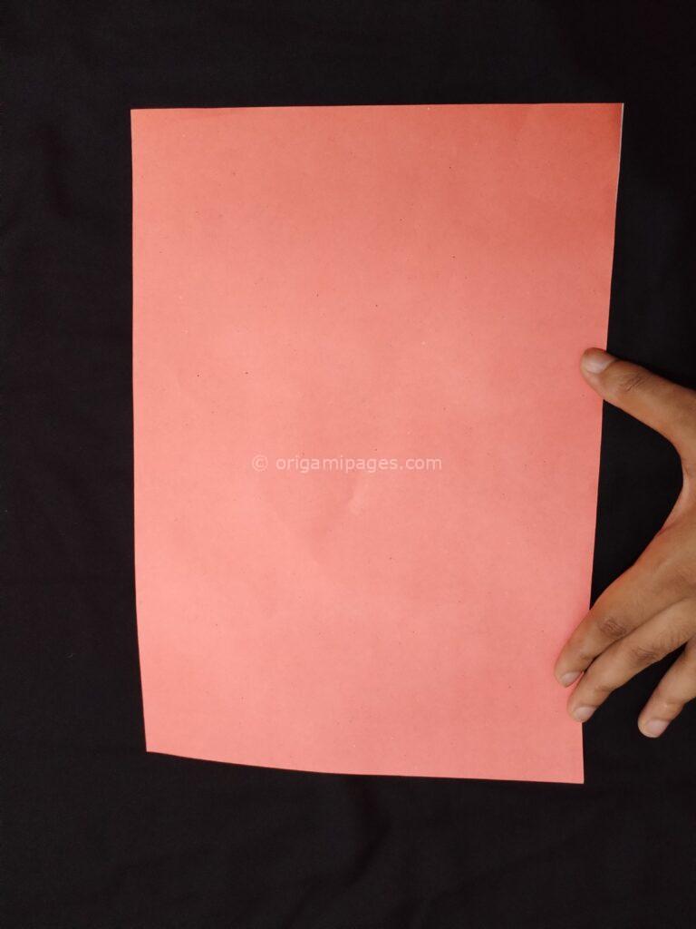 Origami Hexagonal Envelope Step: 1