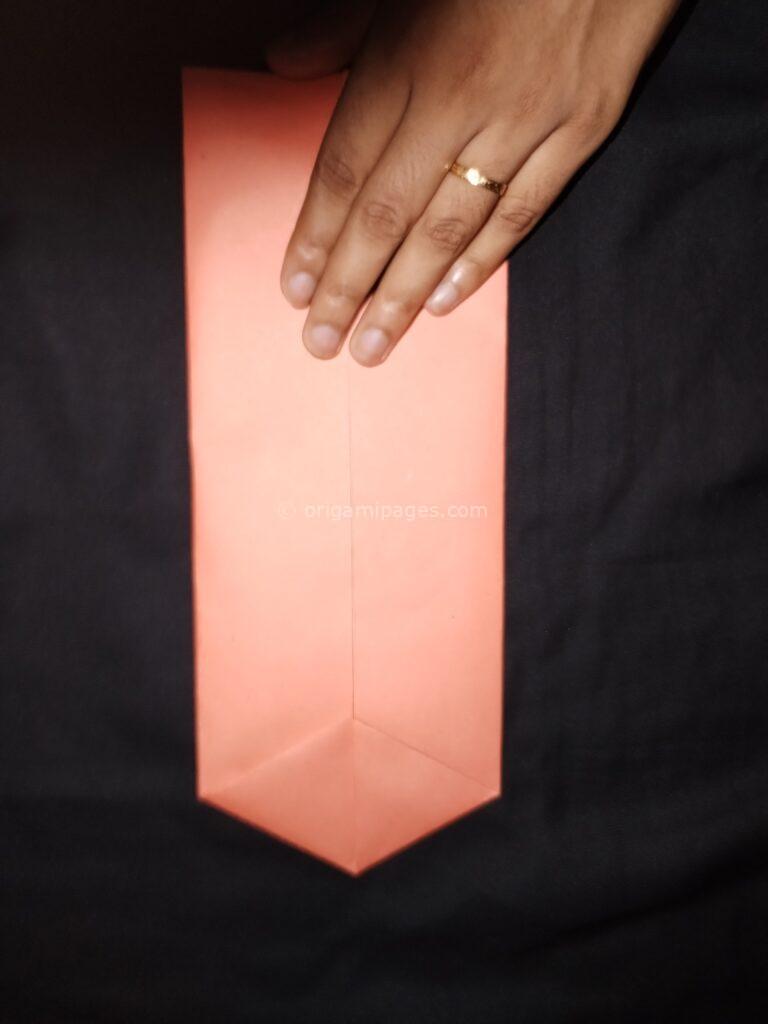 Origami Hexagonal Envelope Step: 5a