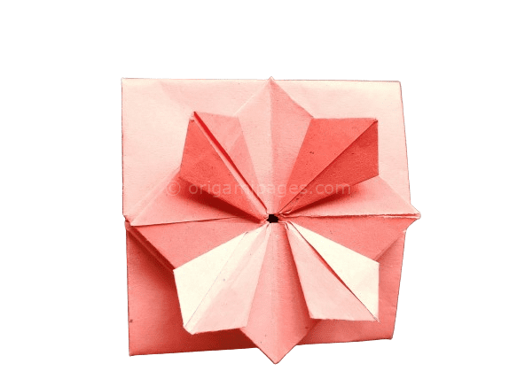 Origami Popup Envelope Box: A Step-by-Step Guide