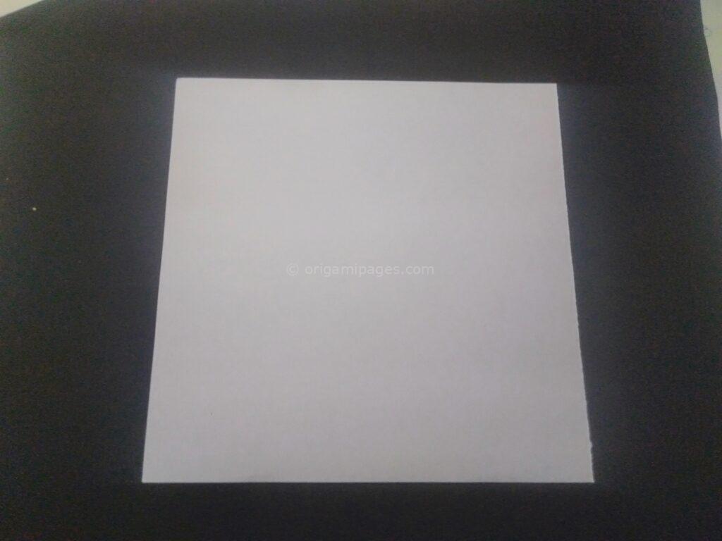 Origami Sushi Box Step: 1