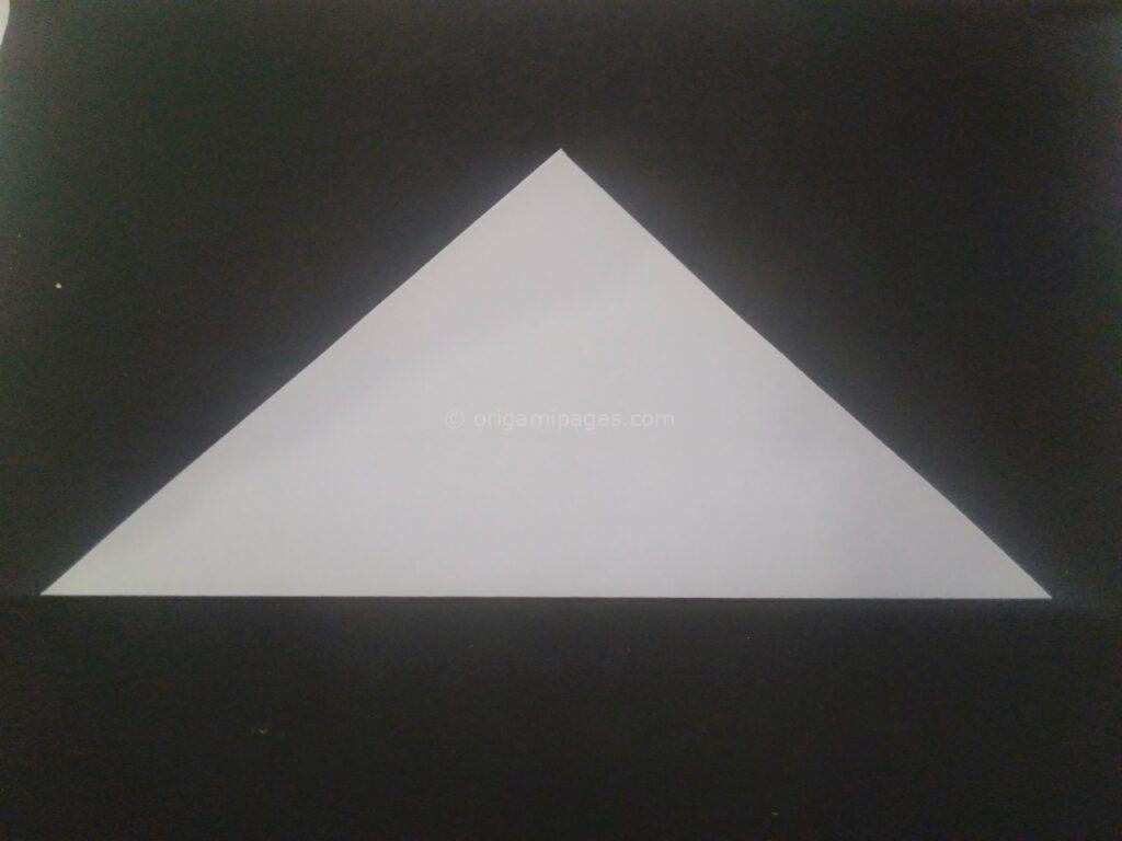 Origami Sushi Box Step: 2