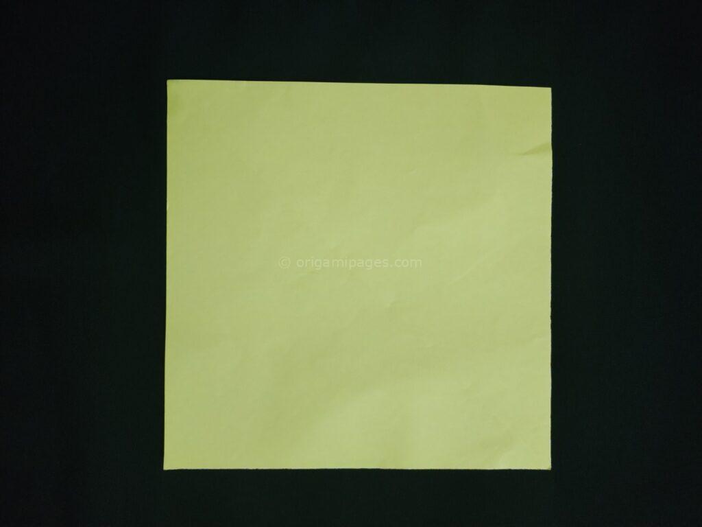 Origami Rectangle Box Step: 1