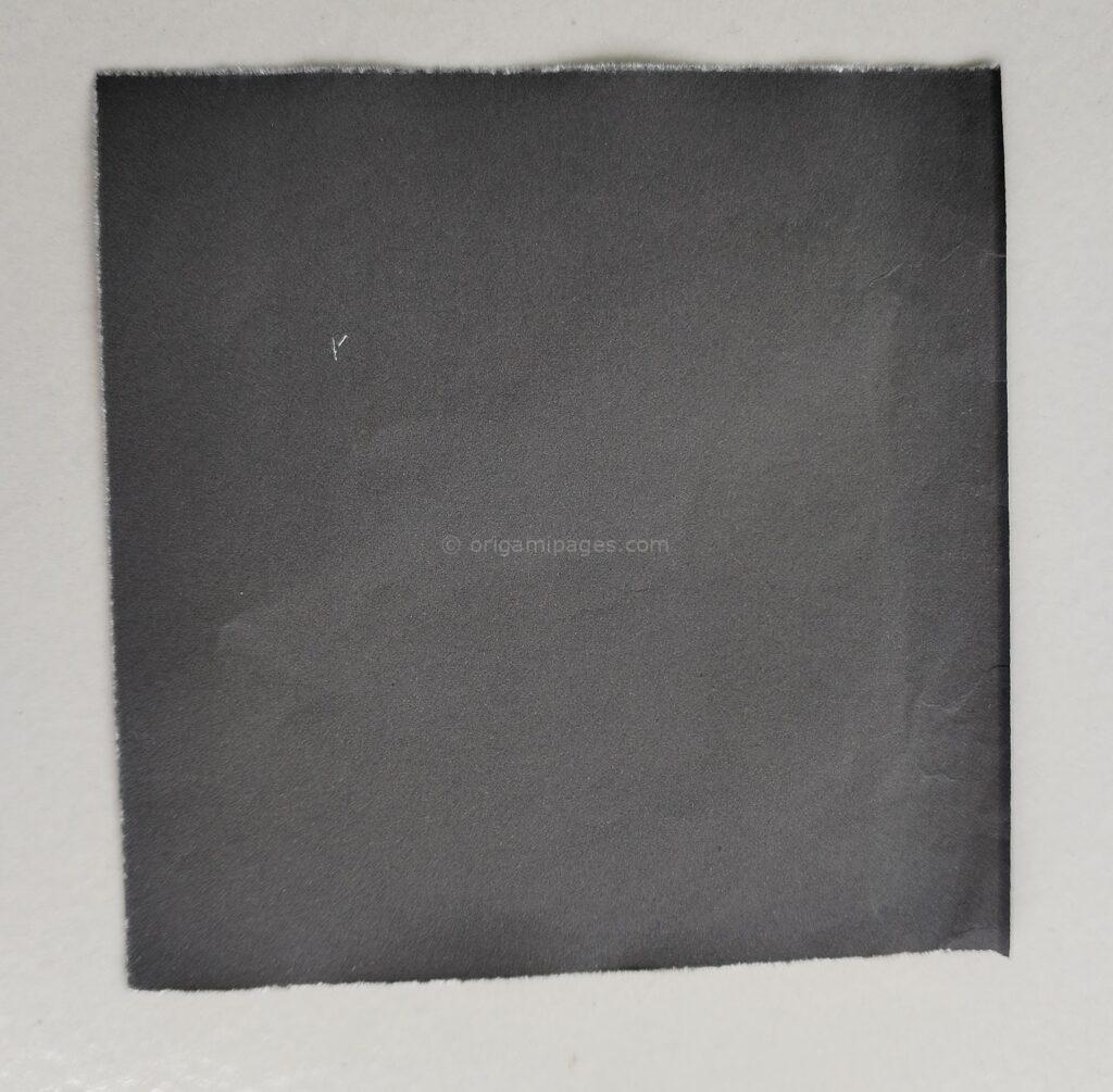 Origami Container Step: 2a