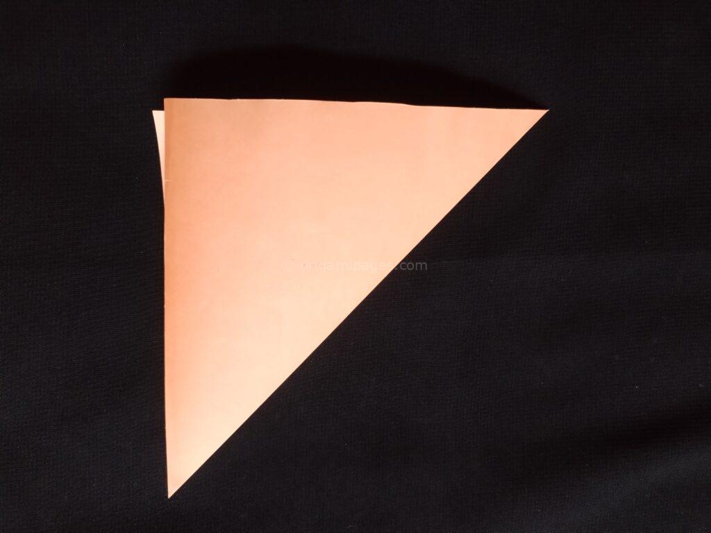 Origami Bat Step: 2-a