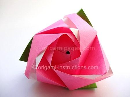 Magic Rose Cube