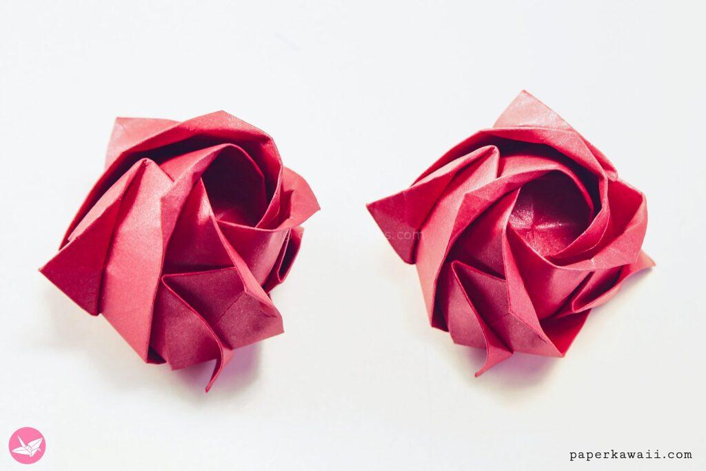 Kawasaki Rose