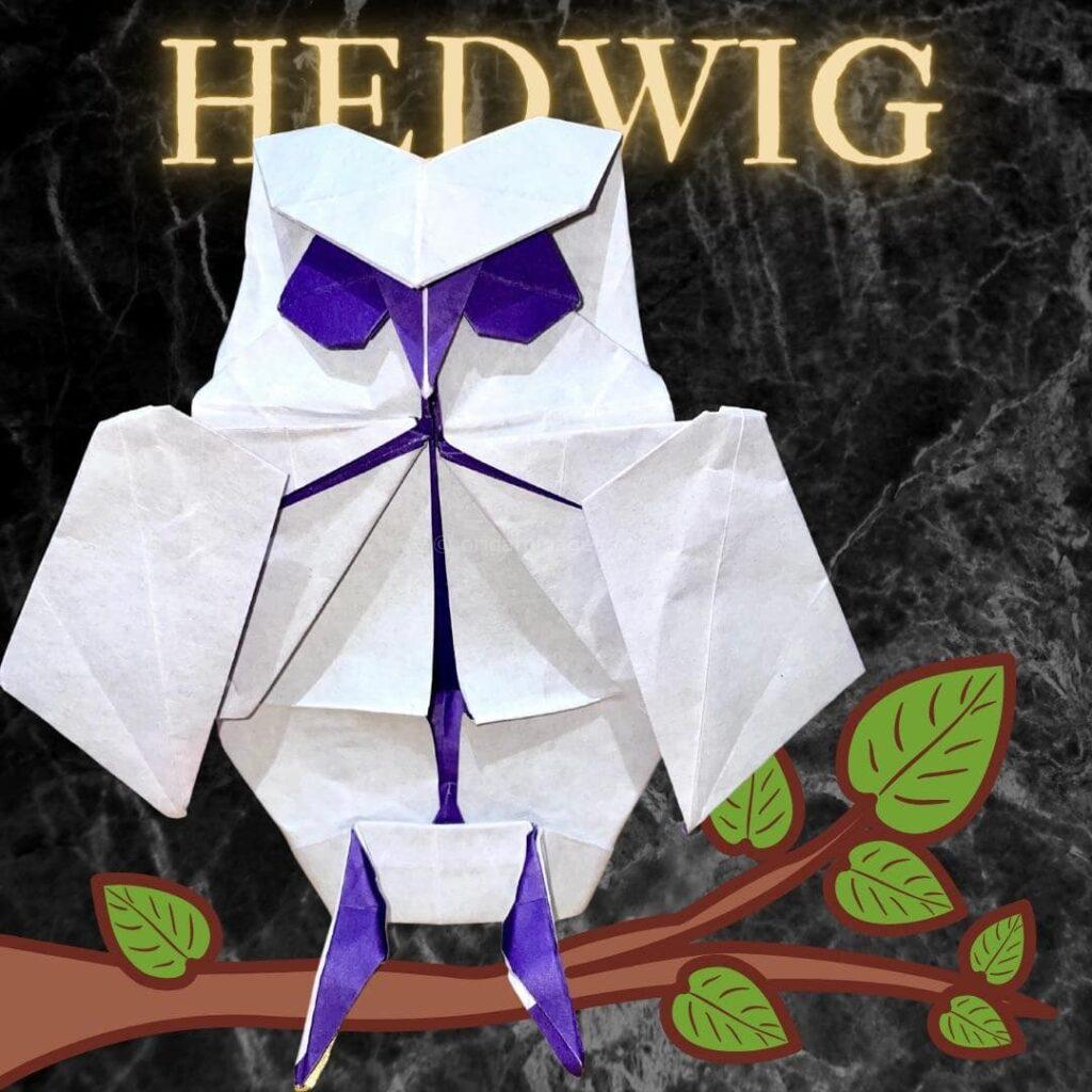  Hedwig the Owl